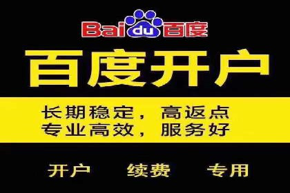 案例解析：竞价广告效果评估与优化